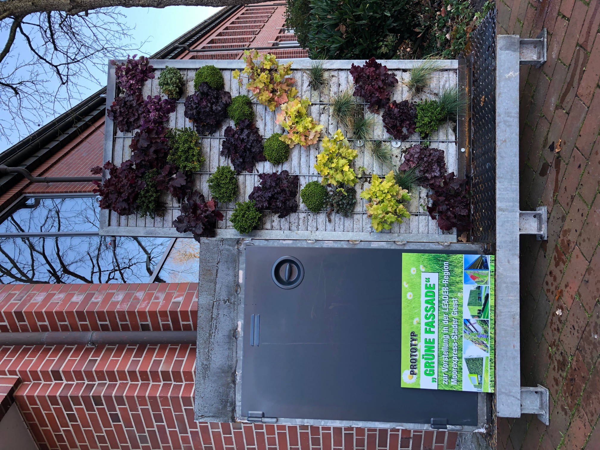 Pflanzwand Vorstellung LAG